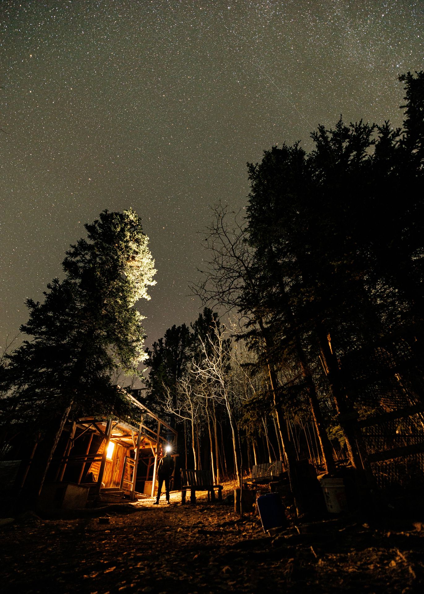 Cabane dans les bois